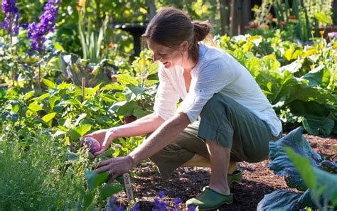Gardening Resolutions For The New Year Better Homes And Gardens