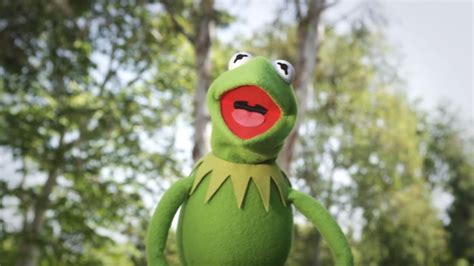 Kermit Celebrates The Start Summer With Kermit The Frog The Muppets