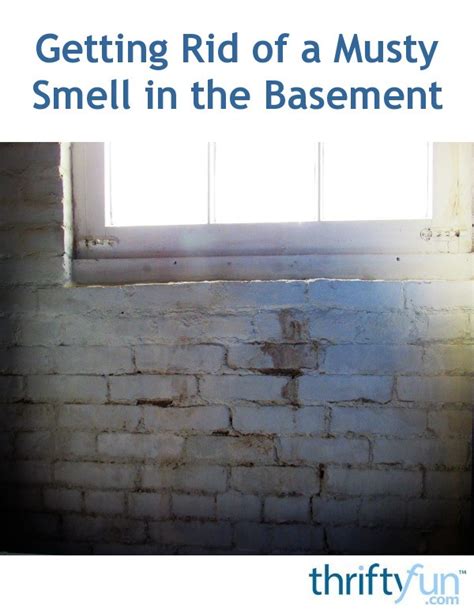 How To Get The Musty Smell Out Of Basement How To Get Rid Of Musty