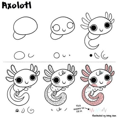 How To Draw An Axolotl Also Known As S Mexican Salamander Or A Mexican