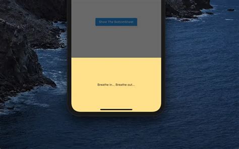 Flutter Bottom Sheet Tutorial And Examples Kindacode