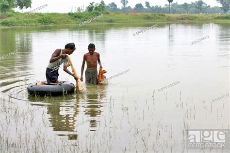 Fishermen With Net In Lake Ganju Tribal Budhisaria Village Tenughat