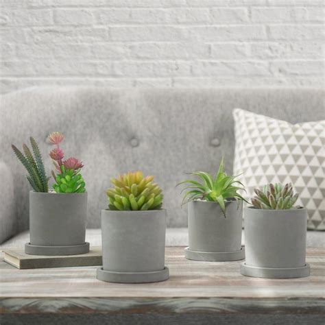 Set of 4 Round Cement Succulent Planters – MyGift