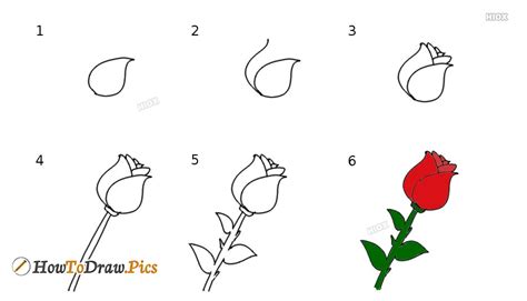 Rose Drawings How To