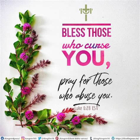Bless Those Who Curse You I Live For Jesus