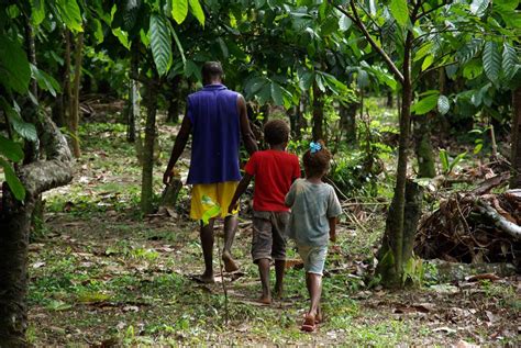 NestlÉ To Pay Cocoa Farmers To Keep Children In School