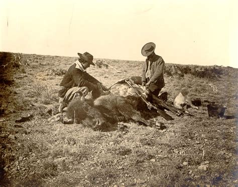 Buffalo Hunt Tslac