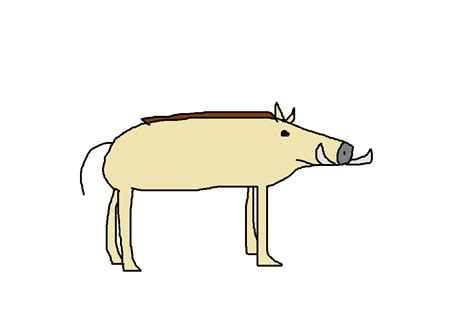 Common Warthog Species Wiki Fandom