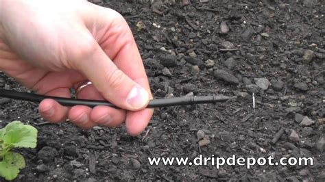 How To Install A Drip Irrigation System For Trees Youtube