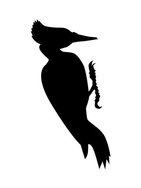 Free Printable Woodpecker Stencils And Templates