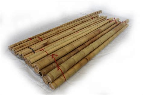 Moso Bamboo Poles Bamboo Toronto Store