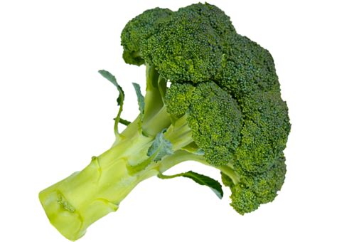 Broccoli Png Hd Photo Png Mart