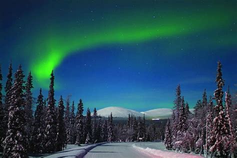 Reasons To Visit Lapland At Christmas Pick Article