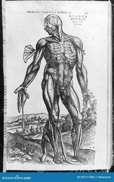 Cierre De Una Página En El Atlas Del Libro De Anatomía Humana Que