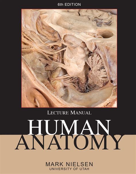 Human Anatomy Higher Education