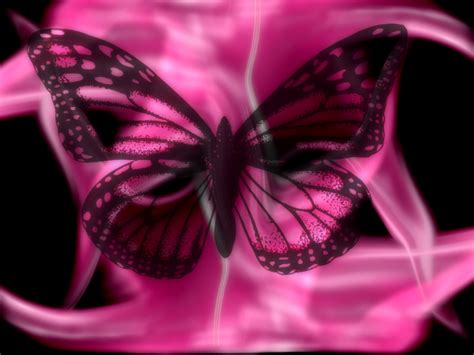47 Pink Butterfly Wallpapers Desktop Wallpapersafari