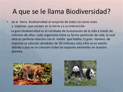 Lema Del Día De La Biodiversidad O Diversidad Biológica 2016 Imágenes