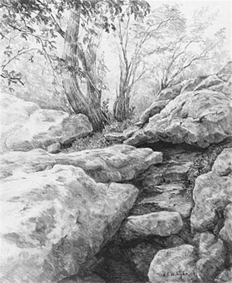 40 Incredible Pencil Drawings Of Nature You Have Never Seen Before 29