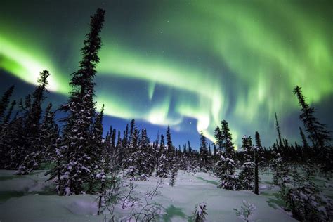 Hd Wallpaper Denali National Park Alaska Northern Lights Forest Winter