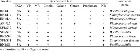 Major Biochemical Test And Provisional Identification Of Gram Positive