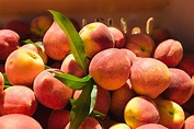Georgia peaches for sale fresh off the truck June 5 in San Antonio with ...