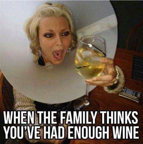 Too Much Wine Wine Jokes Wine Meme Drinking Humor