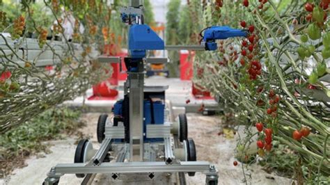 Japanese Harvesting Robot In Tomatoworld Akihabara News