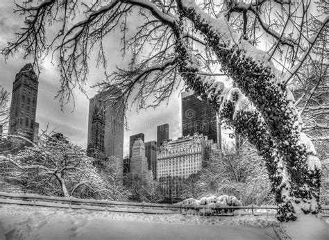 Central Park New York City Winter Stock Photo Image Of Hotel Plaza