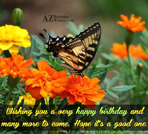Birthday Greeting With A Butterfly Picture