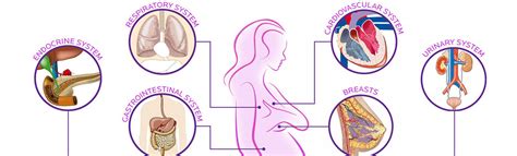 34 Body Changes When Youre Pregnant Infographic