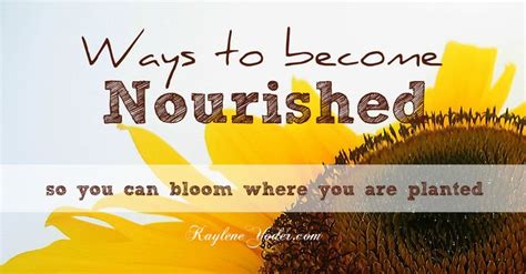 Three Ways To Nourish Your Soul Again Kaylene Yoder Bloom Where You