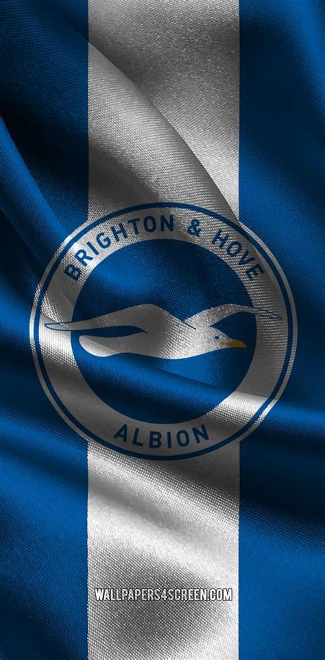 Brighton And Hove Albion Wallpaper By Elnaztajaddod Download On Zedge™ C4b4