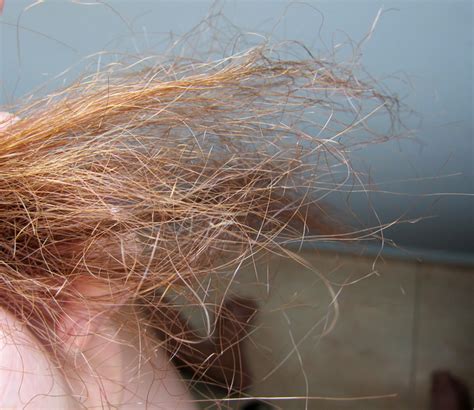 Untrimmed Female Pubic Hair Slutty