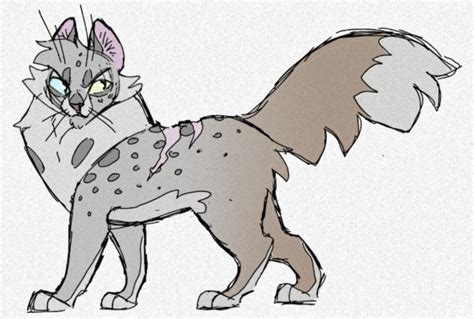 Cats in warriors can't understand human speech, so they have their own terms for certain creatures loyalty is very important to the warrior cats, and each cat is expected to remain loyal to their clan. Warrior Cat Suffix Meanings