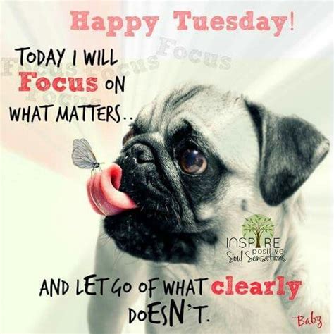 Get a good laugh in today and maybe there will be some join now for yourtango's trending articles, top expert advice and personal horoscopes delivered straight to your inbox each morning. Happy Tuesday | Happy tuesday quotes, Funny good morning ...