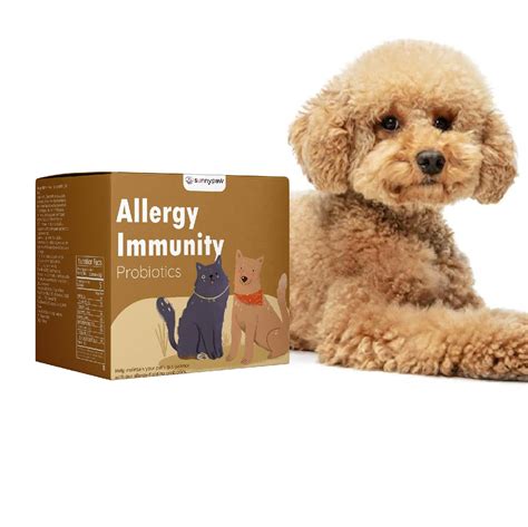 Relieve Dog Allergies Ph