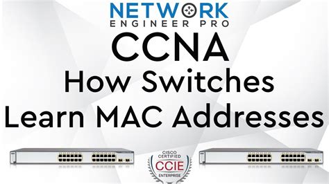 How Switches Learn Mac Addresses Ccna 200 301 Youtube