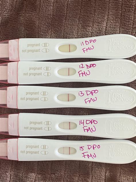 Update To My Various Updates 🙈 11 18 Dpo I Actually Think Its 10 17