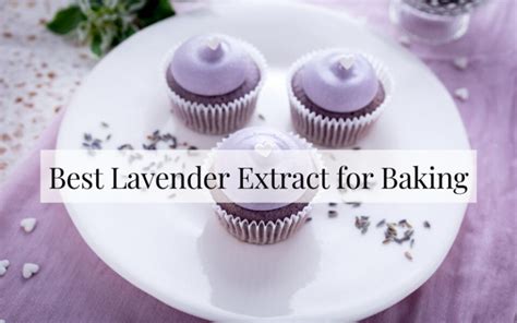 Best Lavender Extract For Baking Buying Guide Chefs Resource