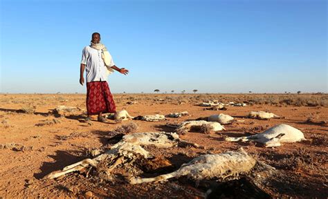 Severe Drought Brings Starving Kenyans To Church Doorsteps