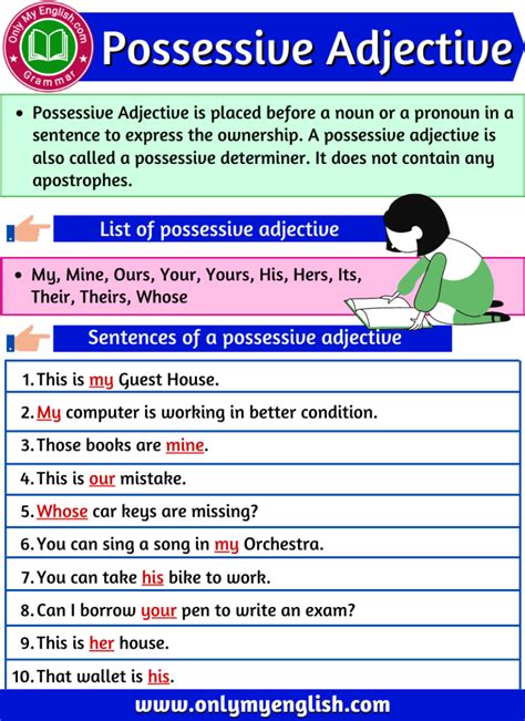 Possessive Adjective Definition Examples And List