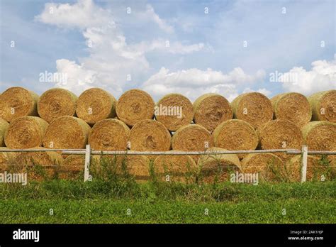 Stack Of Straw Bales Stacked Round Straw Bales Meadow With Wooden
