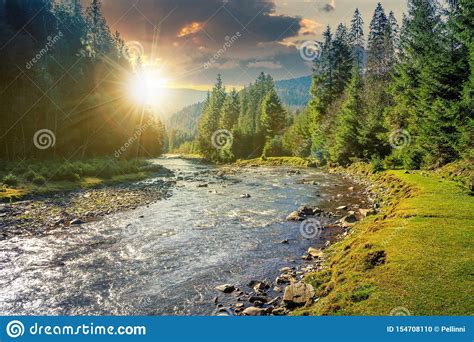 Mountain River Winding Through Forest At Sunset Stock Photo Image Of