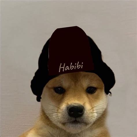 8 Likes 1 Comments Dog Wif Hat Emerlmao On