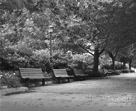 Park Benches Photograph By Ken Depue Fine Art America