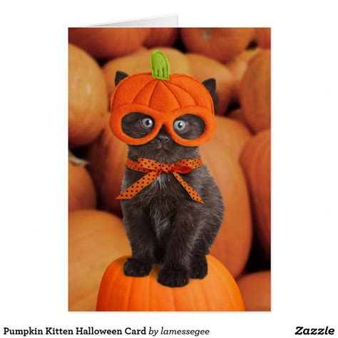 Pumpkin Kitten Halloween Card Cats Halloween Cards Kittens Funny