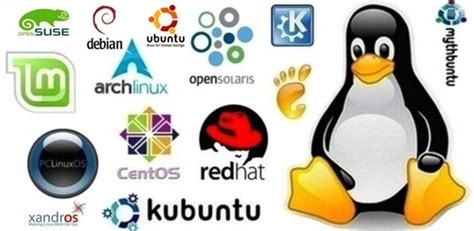 Las 5 Mejores Distribuciones De Linux En 2017