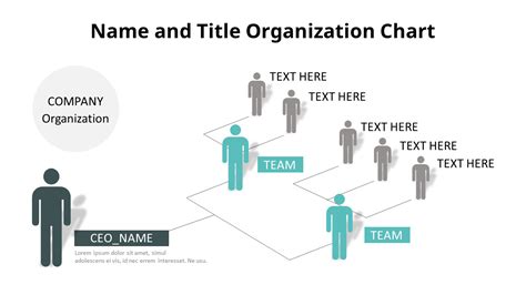 Human Infographic Organizational Chart Powerpoint Presentation Video