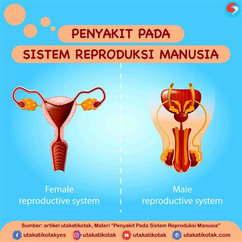 Gangguan Sistem Reproduksi Wanita - Homecare24
