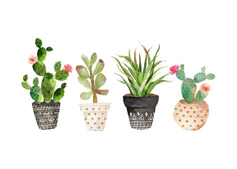Fabulous And Fun Free Printable Succulent Wall Art The Cottage Market